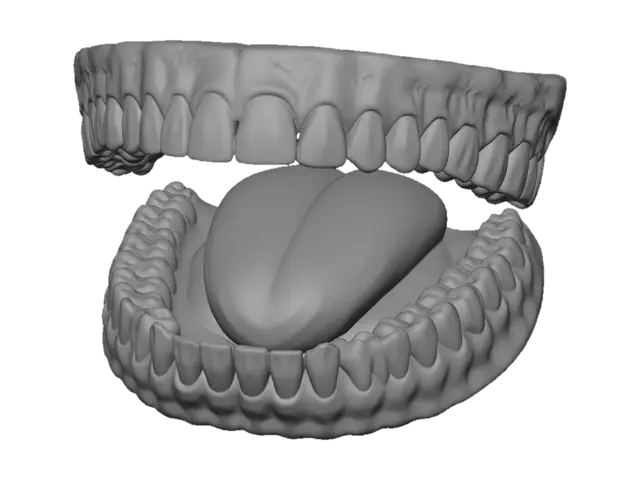 3D model for Tooth 19 Highlighted Lower Molar