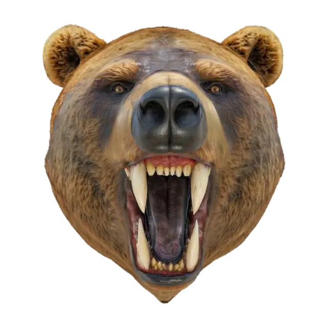 3D model for The Head of a Bear with large exposed teeth, highly detailed Fur, HDR