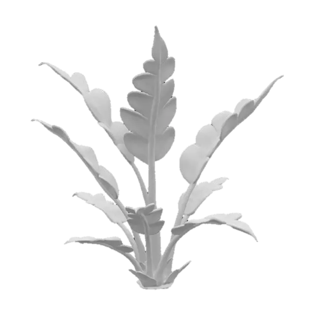 3D model for Snow Fern