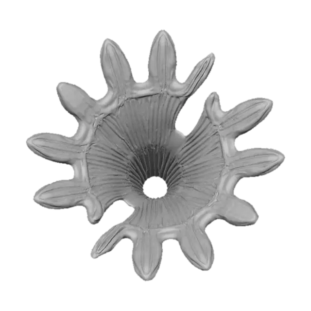 3D model for An elaborate Fan Coral, featuring a wide, delicate, lattice-like structure. Its rough, porous surface on top glows with vibrant shades of orange and deep red. The underside reveals a smooth, iridescent sheen, shifting through dazzling blues, greens, and purples, giving it a slick, almost liquid appearance. This intricate, stony organism feels both fragile and rigid, a beautiful marine spectacle.