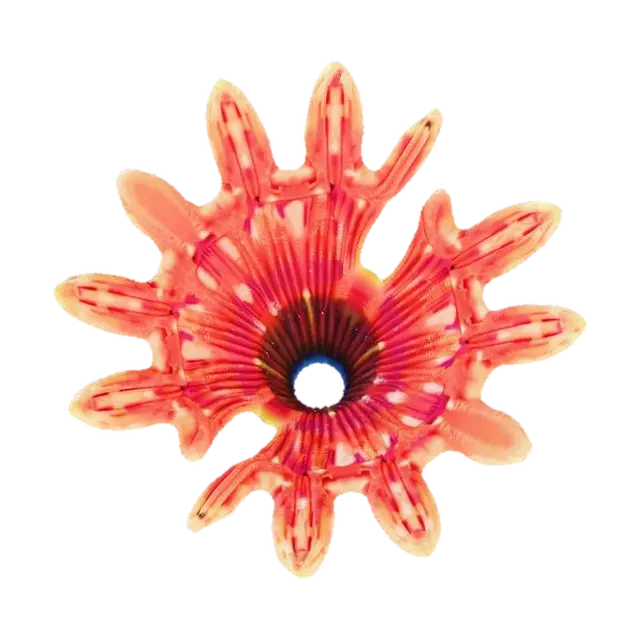 3D model for An elaborate Fan Coral, featuring a wide, delicate, lattice-like structure. Its rough, porous surface on top glows with vibrant shades of orange and deep red. The underside reveals a smooth, iridescent sheen, shifting through dazzling blues, greens, and purples, giving it a slick, almost liquid appearance. This intricate, stony organism feels both fragile and rigid, a beautiful marine spectacle.