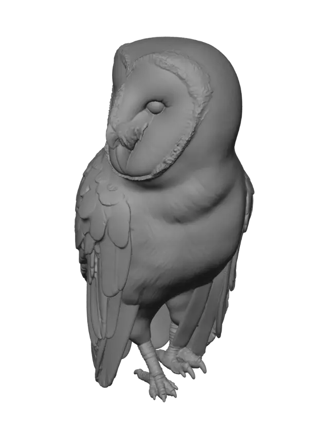 3D model for Barn Owl at Night