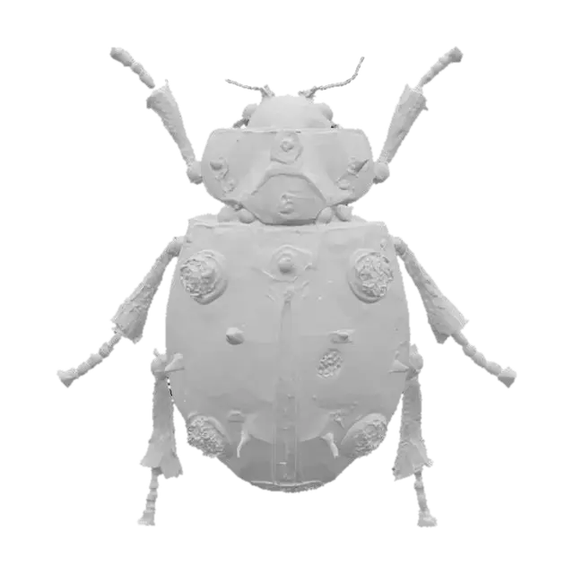 3D model for Ladybug