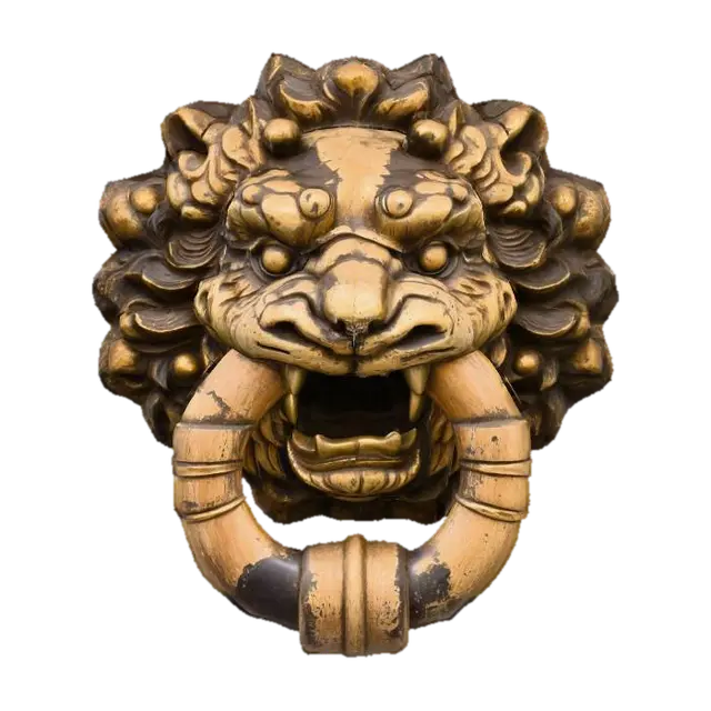 3D model for Fu