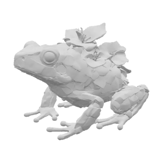 3D model for Adorned Amphibian