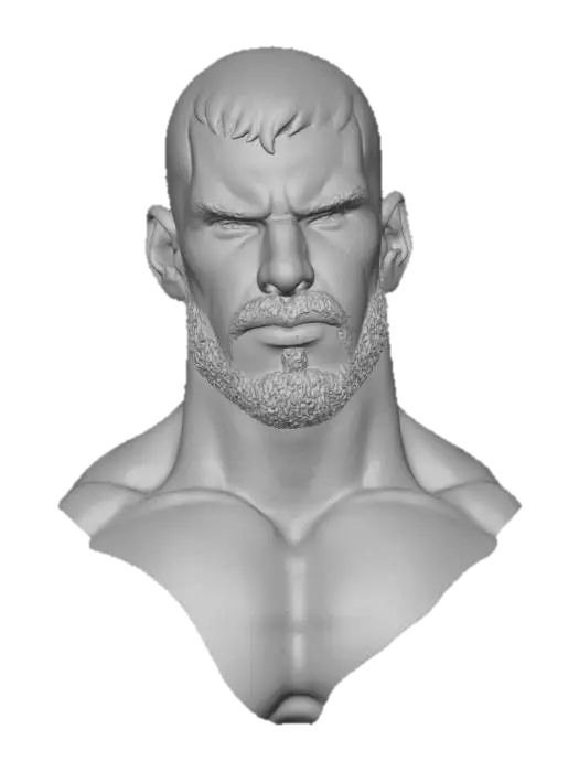 3D model for Head Study 001