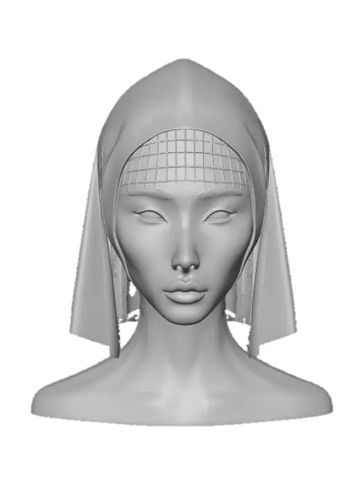 3D model for Veil of Grids