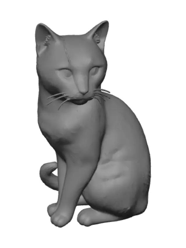 3D model for Cosmic Cat