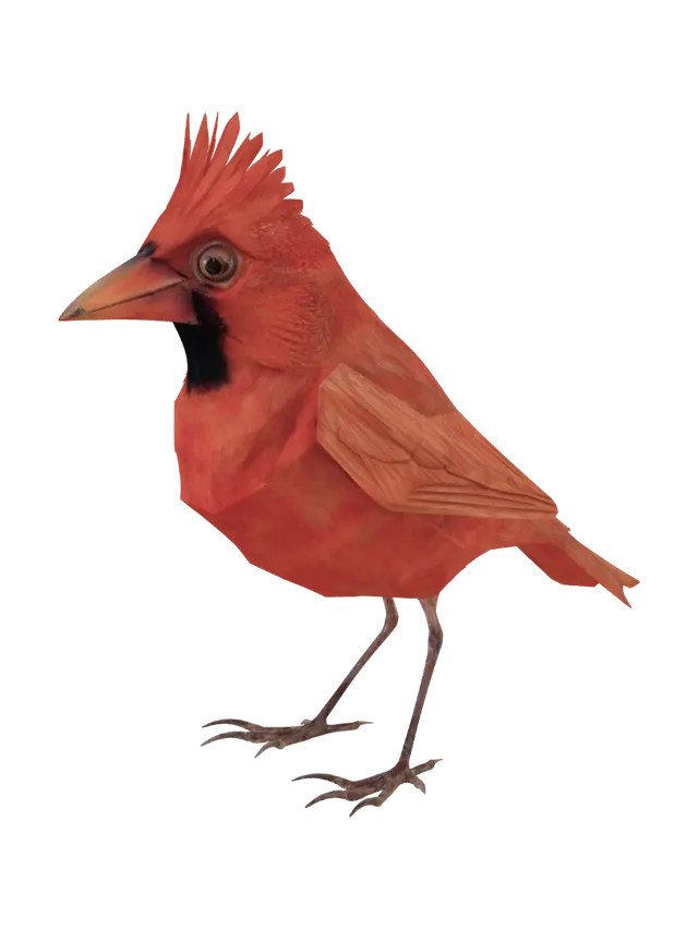 3D model for low poly cardinal