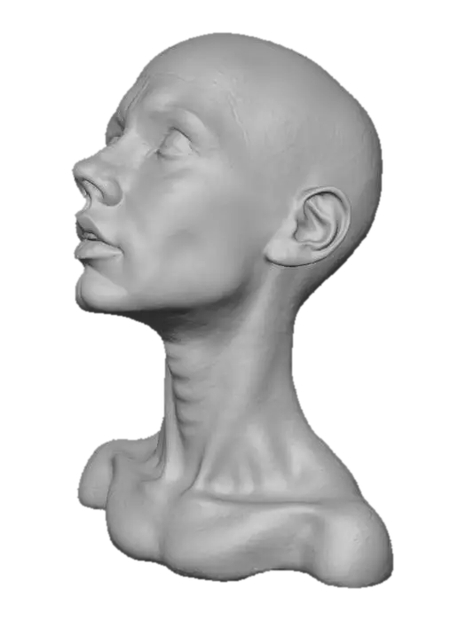 3D model for Serene Reflection