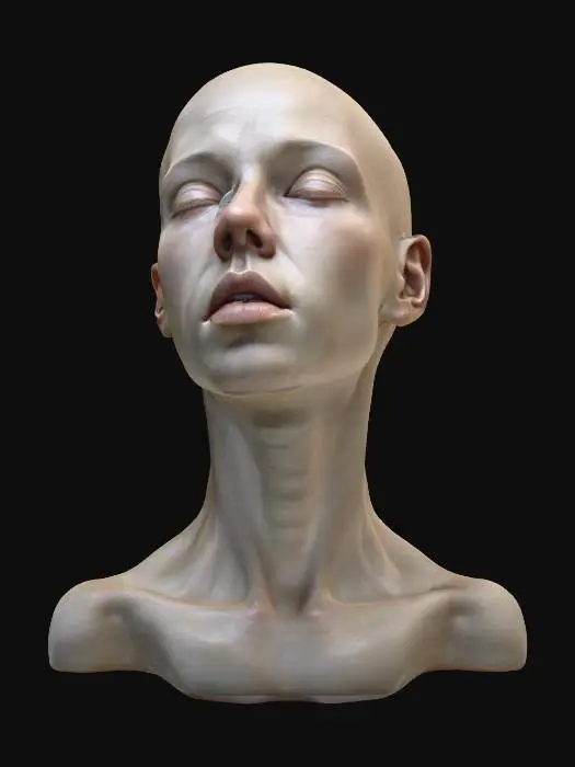 3D model for Serene Reflection