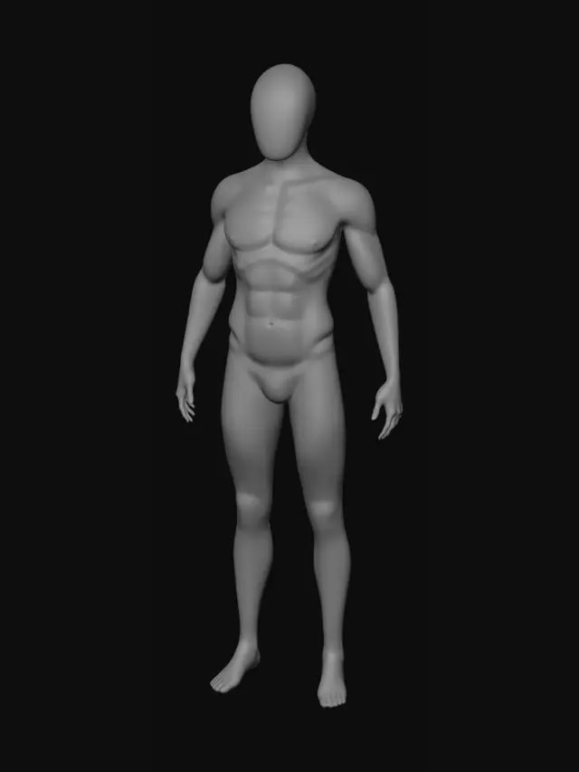 3D model for Metallic Silhouette