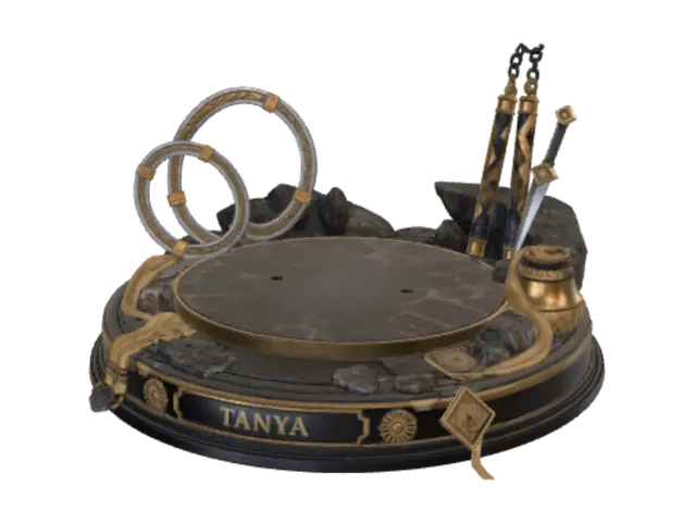 3D model for Tanya's Armory