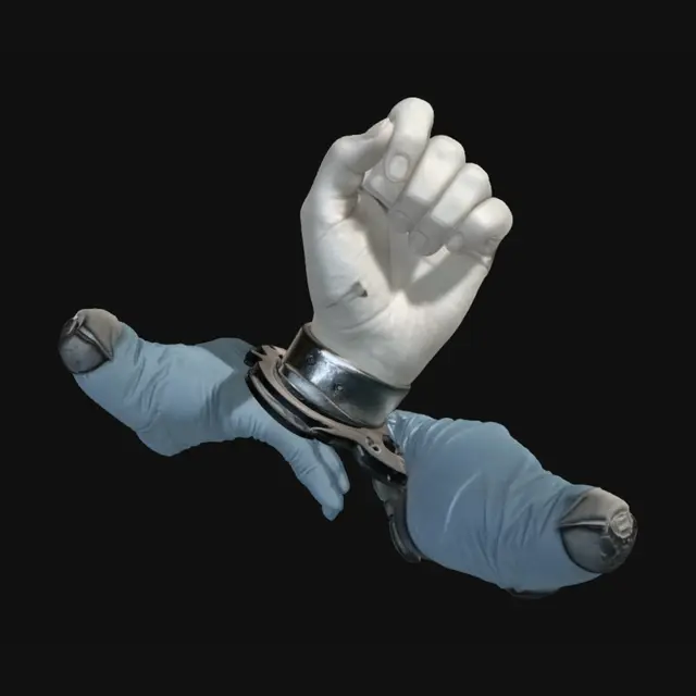 3D model for Shackled Fist