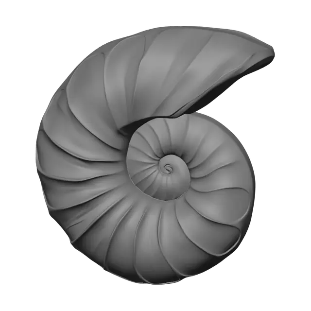3D model for Iridescent Ammonite