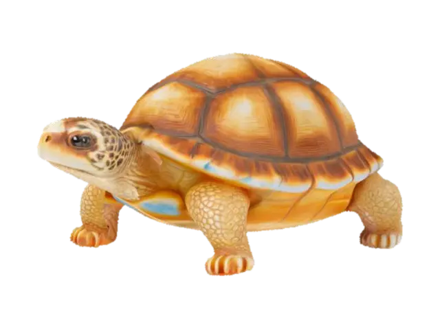 3D model for Turtle Trinket