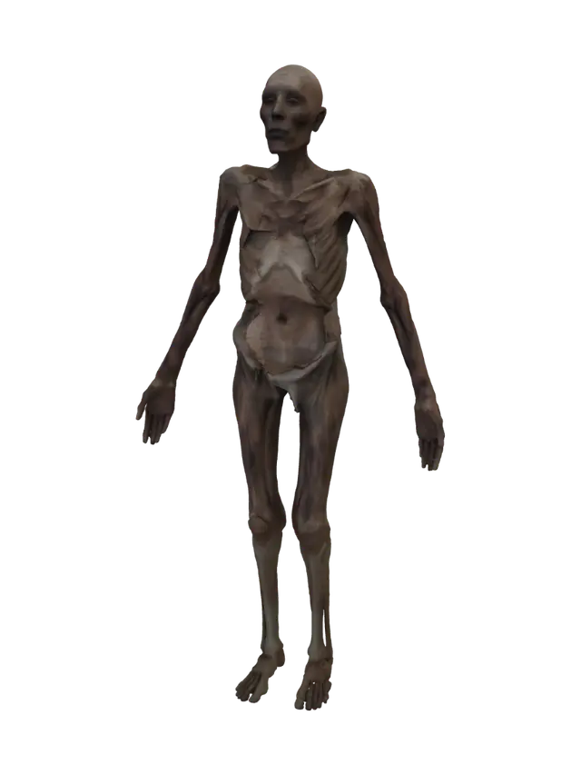 Modèle 3D Ancient Preservation - Conservation, généré par IA