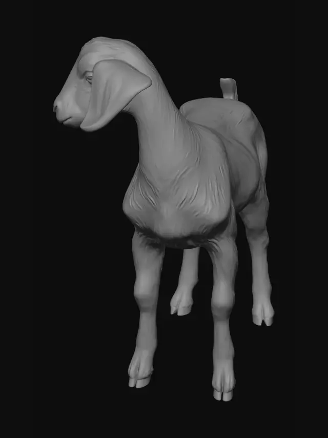 3D model for Dusty Ground Goats
