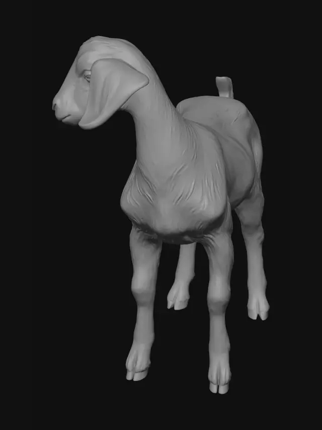 3D model for Dusty Ground Goats