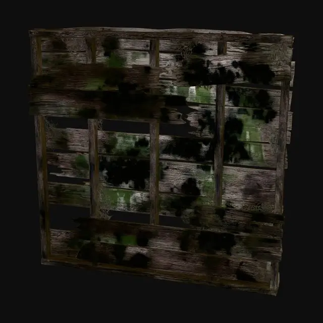 3D model for A warped and rotten wooden wall inside a haunted house, constructed from dark, splintered planks of oak. The wood is discolored with large patches of black mold and water damage, creating a rough, uneven texture. Some planks are missing or loosely hanging, exposing shadowy gaps, and the overall structure feels unstable and creaky, radiating an eerie, unsettling atmosphere.