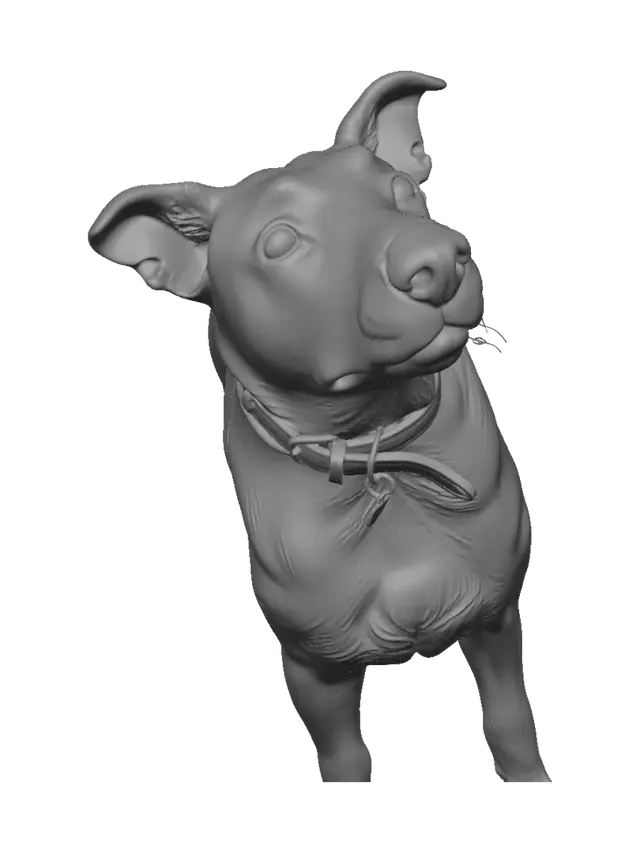 3D model for Curious Canine Gaze