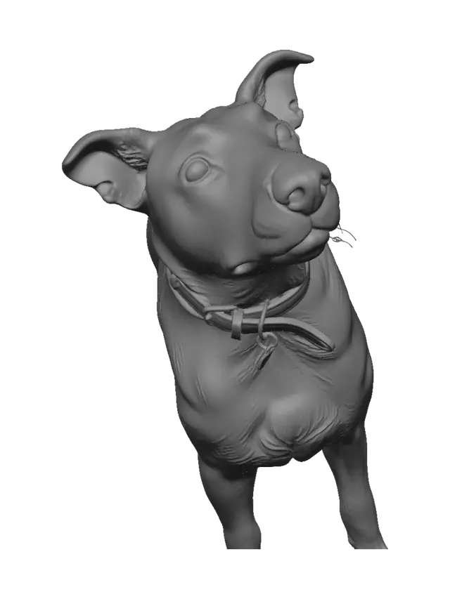 3D model for Curious Canine Gaze
