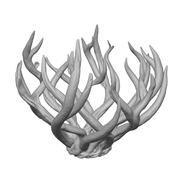 3D model for Icewoven Scepter