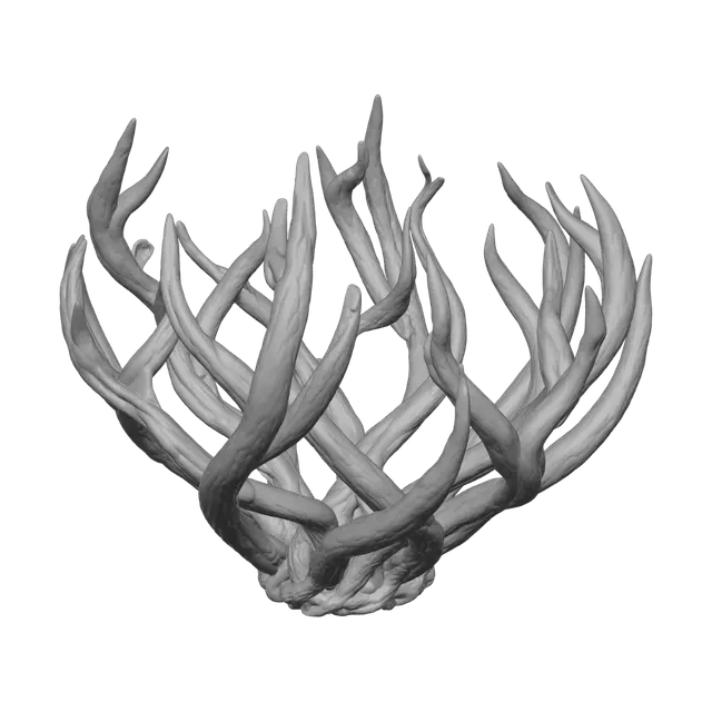 3D model for Icewoven Scepter