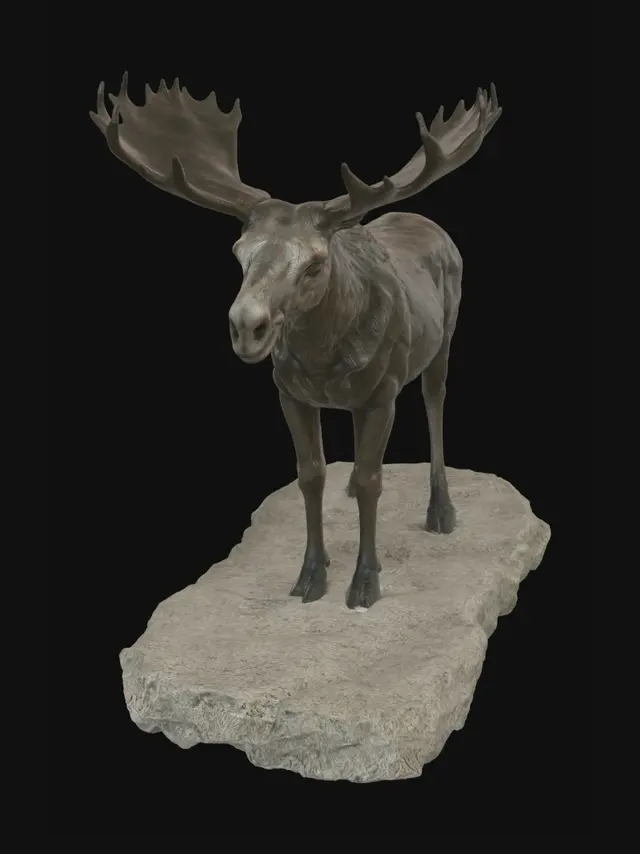 3D model for Hooded Monolith