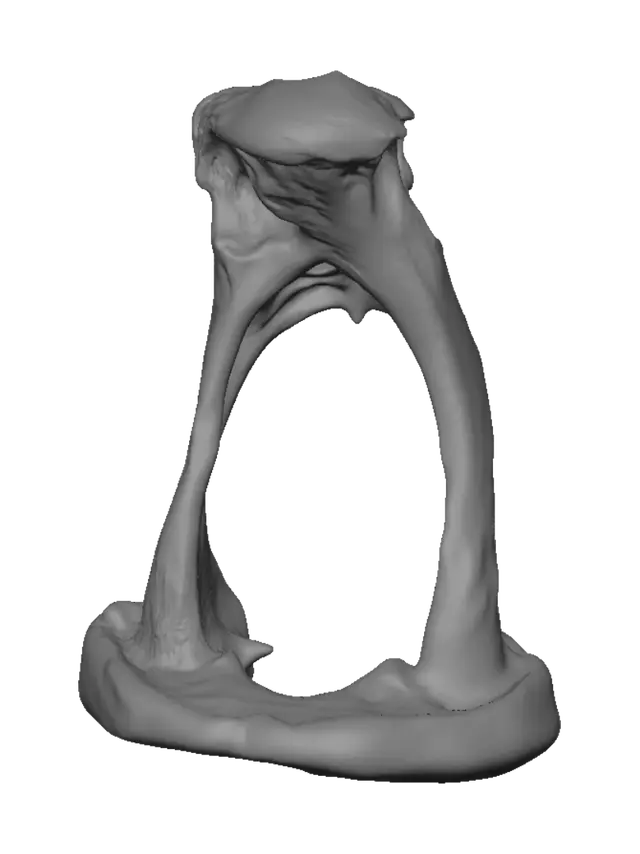 3D model for Bone Ring