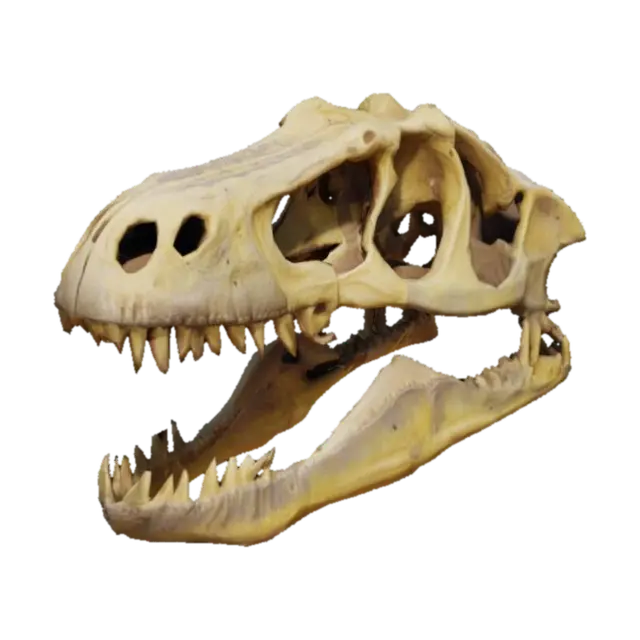 T-rex Skull - Fossil 3D model, vytvořený pomocí AI