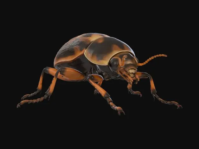 3D model for A skittering beetle-like creature, roughly the size of a small dog, encased in a segmented, chitinous shell. The carapace is a mottled dark brown and black, appearing smooth yet rigid and resilient. Six spindly legs allow for swift, erratic movement, each ending in sharp claws that click on hard surfaces. Two short, stubby antennae twitch nervously, and its small head features multifaceted, glassy black eyes.