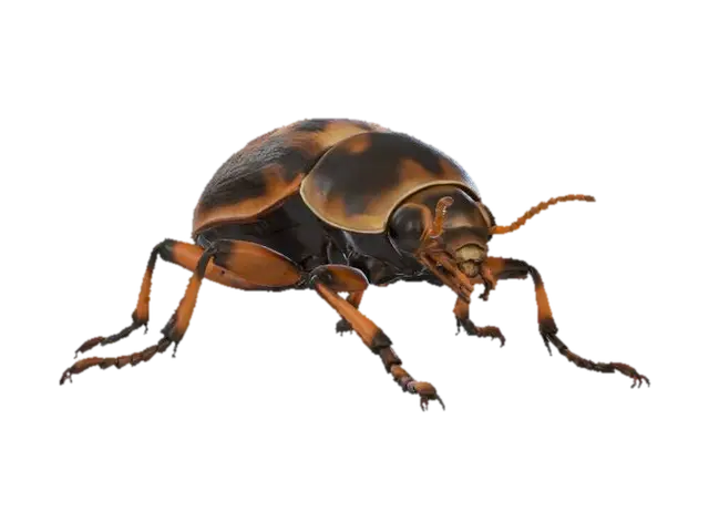 3D model for A skittering beetle-like creature, roughly the size of a small dog, encased in a segmented, chitinous shell. The carapace is a mottled dark brown and black, appearing smooth yet rigid and resilient. Six spindly legs allow for swift, erratic movement, each ending in sharp claws that click on hard surfaces. Two short, stubby antennae twitch nervously, and its small head features multifaceted, glassy black eyes.