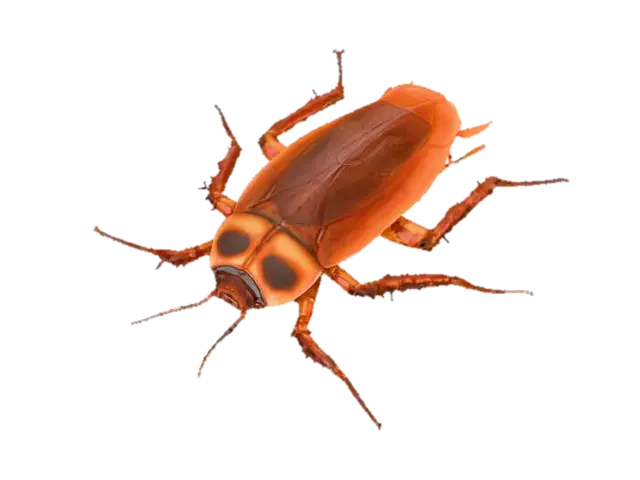 Cockroach Symphony 3D model, vytvořený pomocí AI