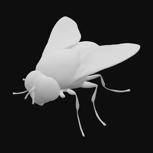 3D model for Blue Buzzwing