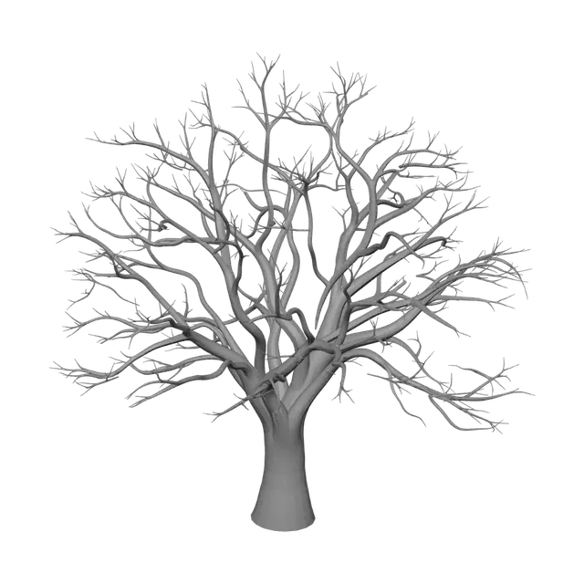 3D model for Leafless Tree