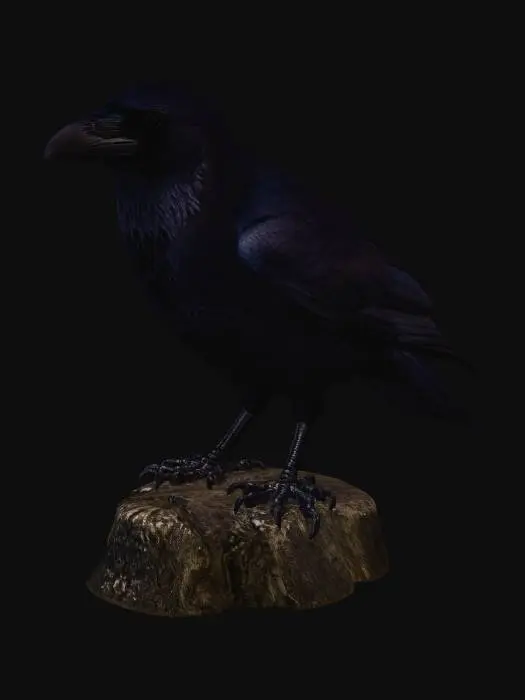 3D model for Midnight Sentinel