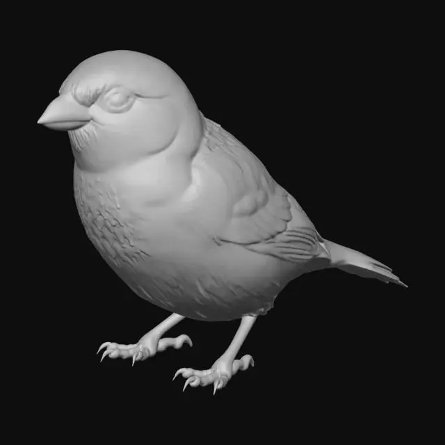 3D model for House Sparrow on a Concrete Wall