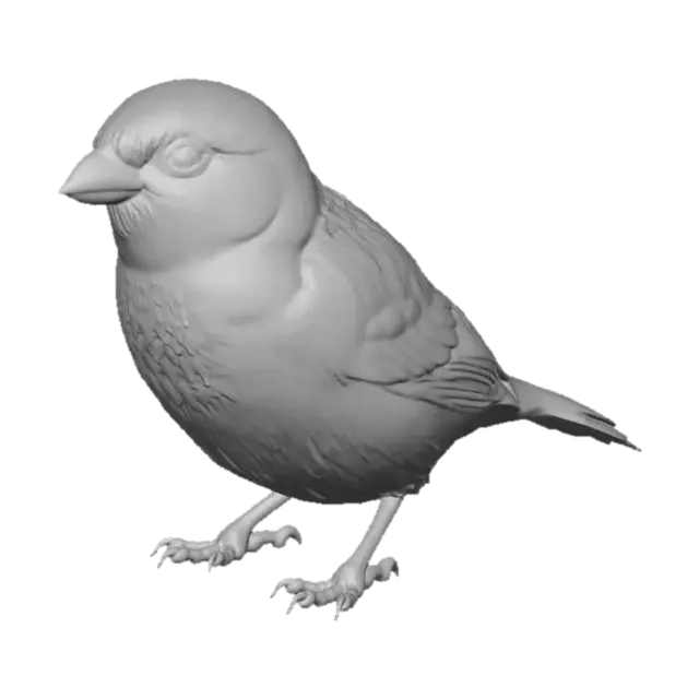 3D model for House Sparrow on a Concrete Wall
