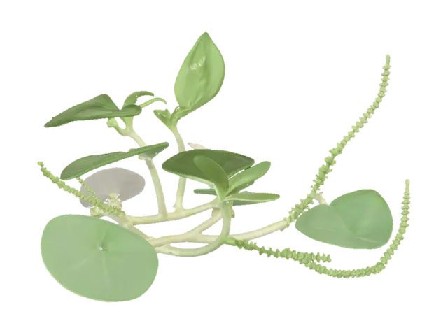 Green Vines with Beaded Stems on White Background 3D model, vytvořený pomocí AI