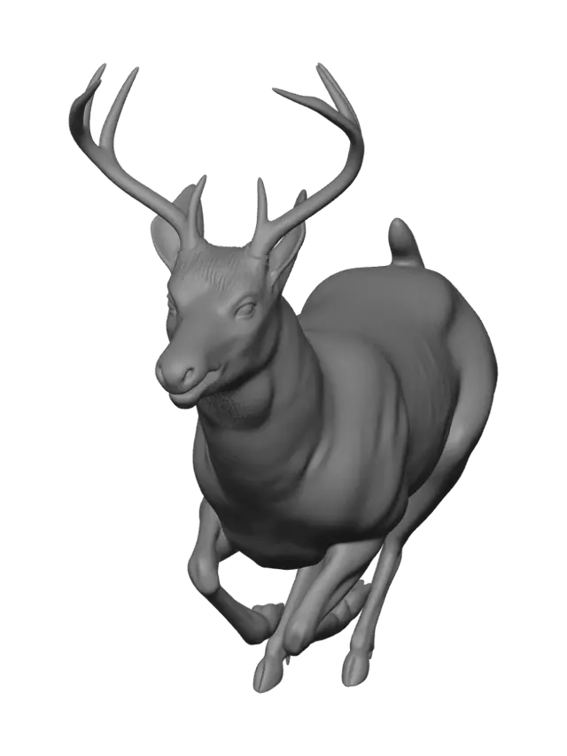 3D model for Running Buck