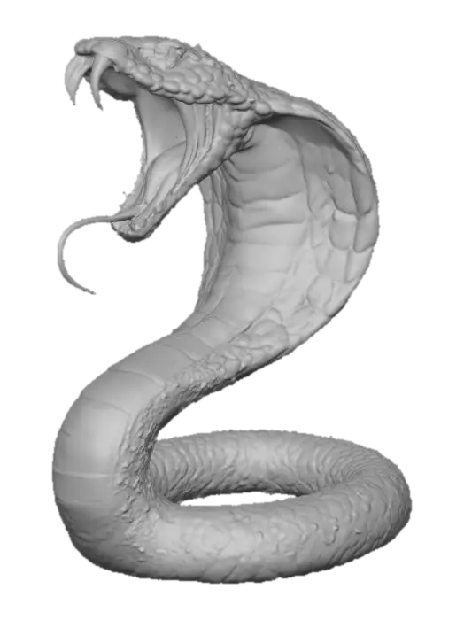 3D model for Fierce Cobra Illustration