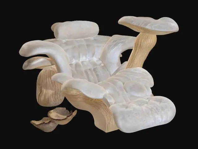 3D model for Mushroom Grove Lounge