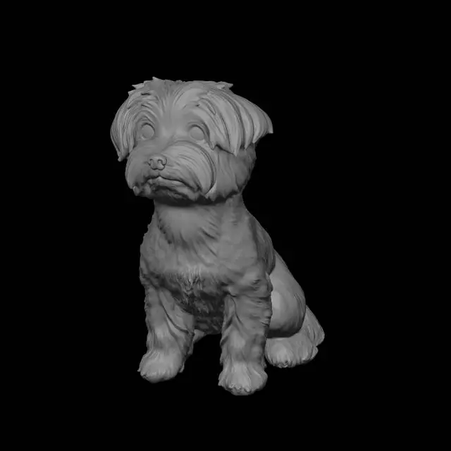3D model for Curious Fluff on a Cozy Blanket
