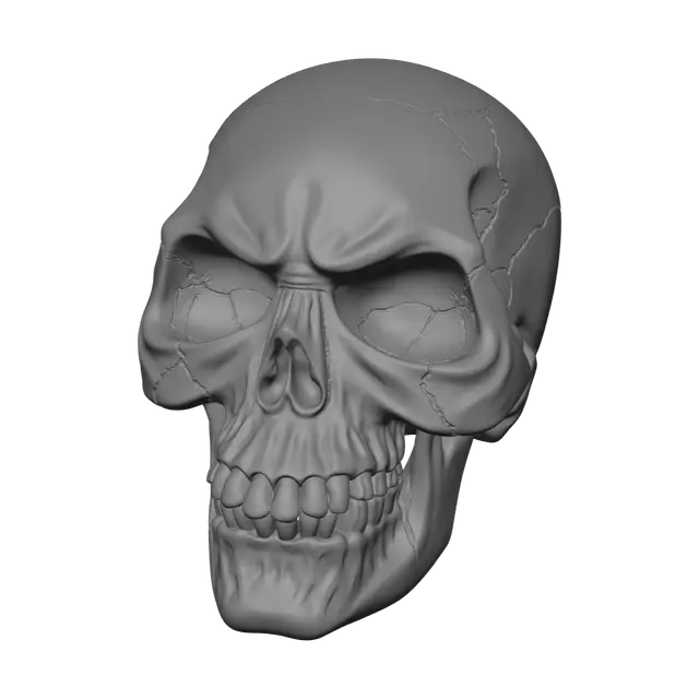 3D model for Ornate Skeleton Anatomy