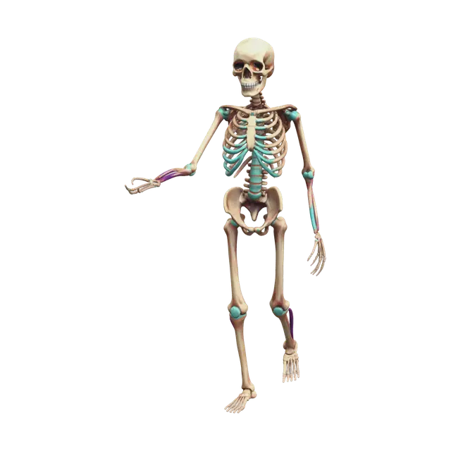 Weathered Skeleton Anatomy 3D model, vytvořený pomocí AI