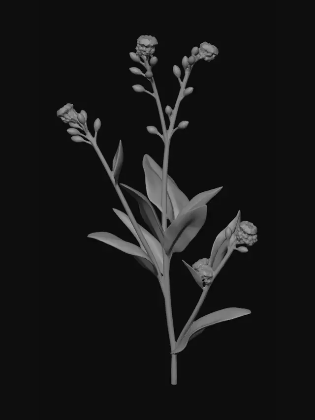 3D model for Field Scorpion-Grass