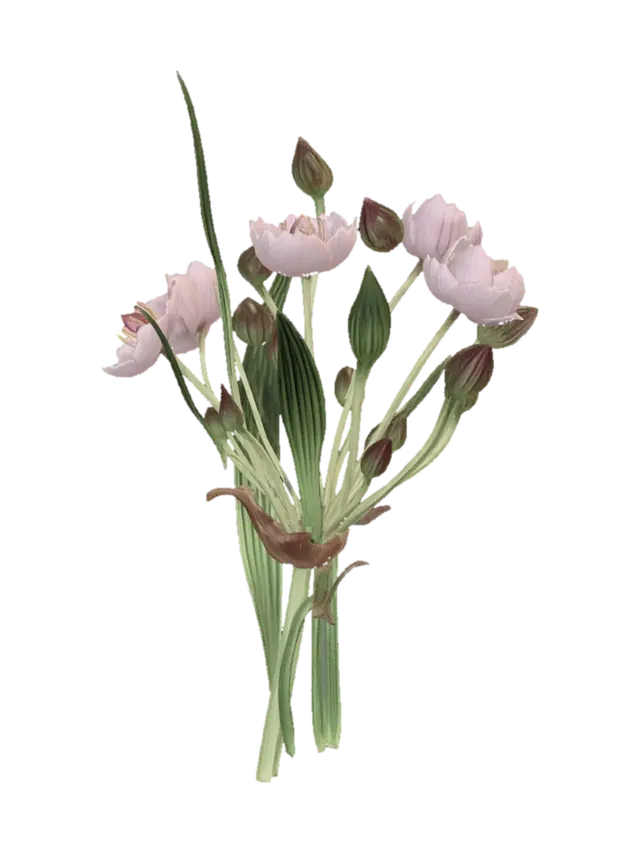 Flowering Rush 3D model, vytvořený pomocí AI