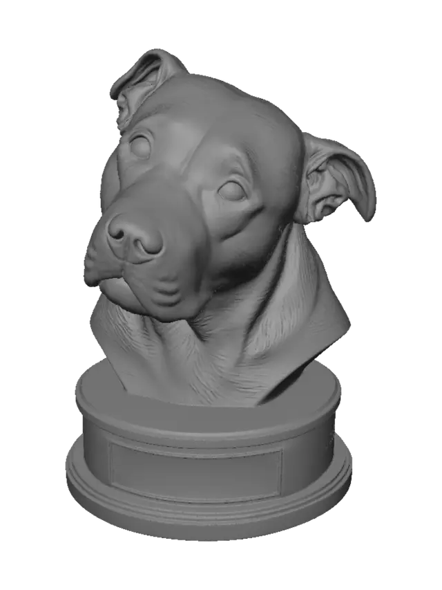 3D model for Pit Pit