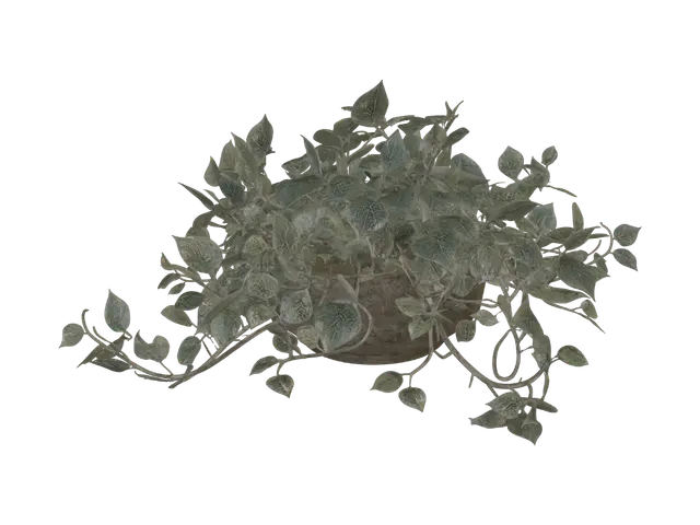 3D model for Trailing ivy in a pot